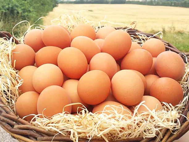 Mjelsmark-Gårdpakkeri-kurv_med_æg