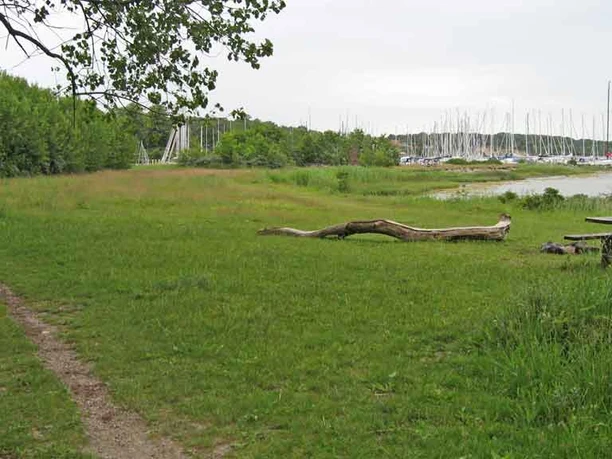 Lambjerg-Indtægt-Trillen Lambjerg-Indtægt-Trillen