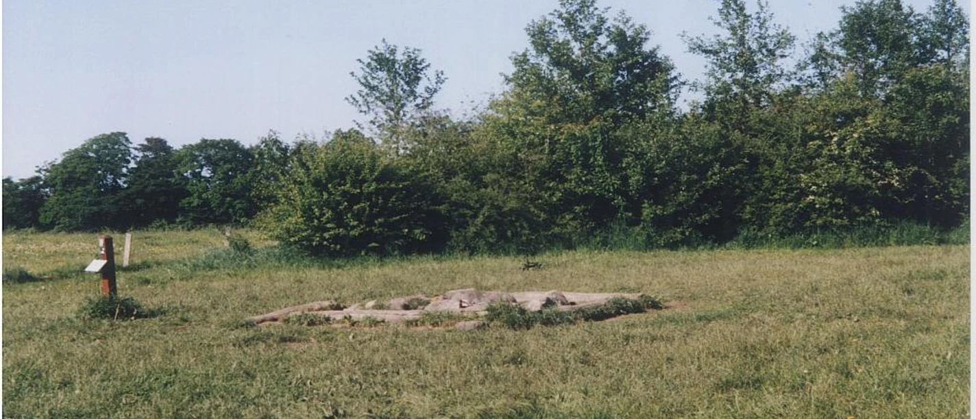 Skovplads v/Arnkil Skovplads v/Arnkil