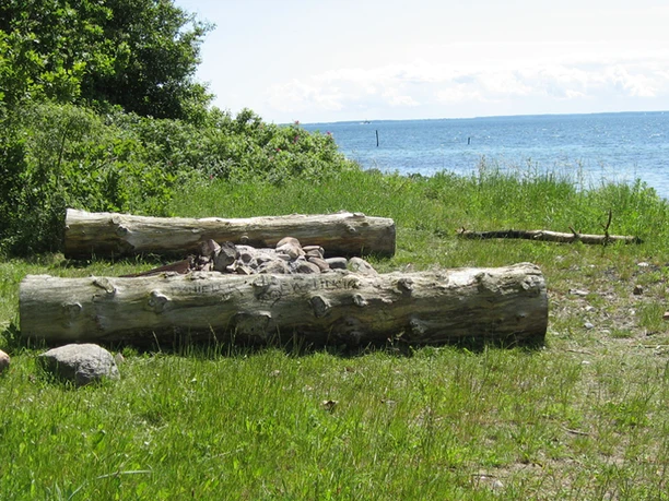 Als-Sønderskoven-naturlejrplads Als-Sønderskoven-naturlejrplads