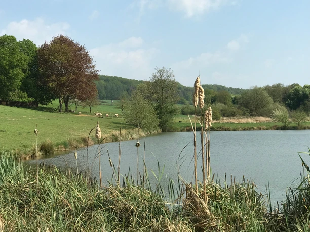 Fischteiche in Niedermeiser