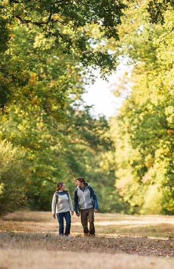 Eichenallee im FriedWald
