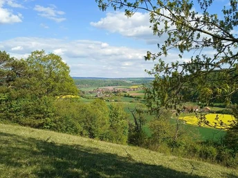 Aussicht vom Botanikerpfad