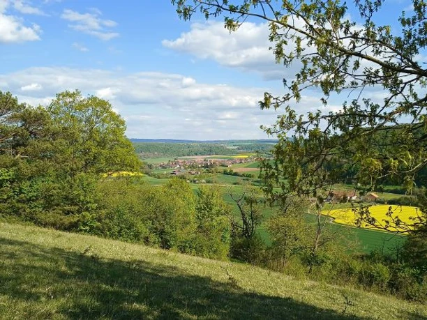 Aussicht vom Botanikerpfad