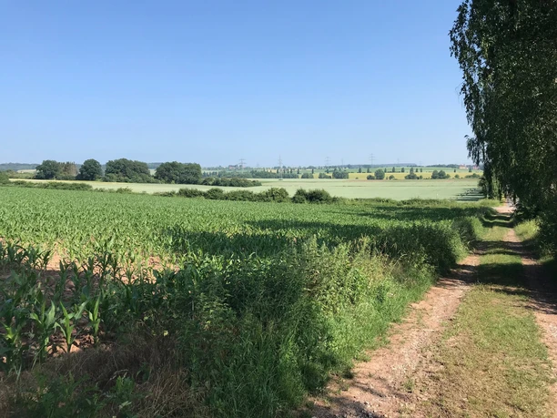 Ausblick vom Fuße des Schönebergs