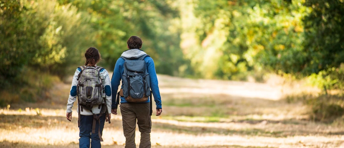 Wandern im Naturpark Reinhardswald