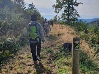 Auf dem Weser-Diemel-Höhenweg