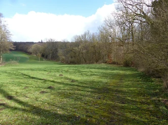 Wiesenweg