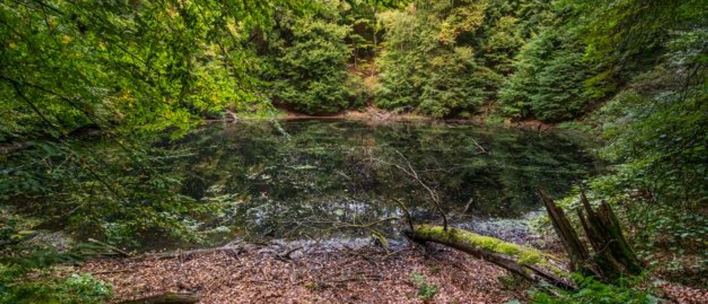 Nasser Wolkenbruch Trendelburg
