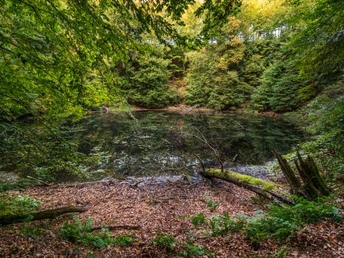 Nasser Wolkenbruch Trendelburg