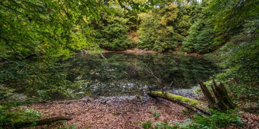 Nasser Wolkenbruch Trendelburg