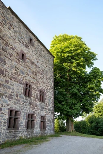 Außenansicht Burgruine