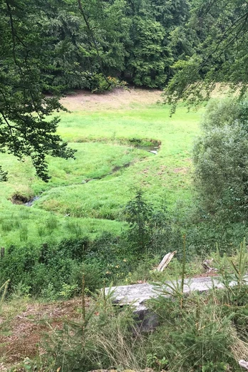 Aussicht auf den Donnebach