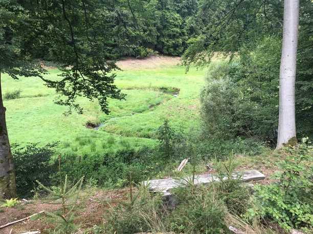 Aussicht auf den Donnebach