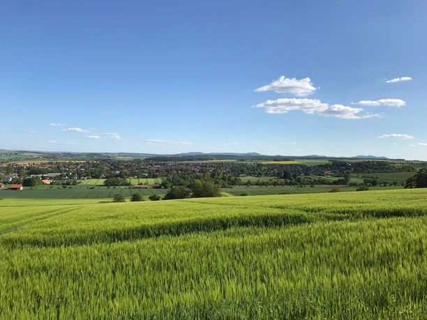 Ausblick auf Hofgeismar vom Westberg