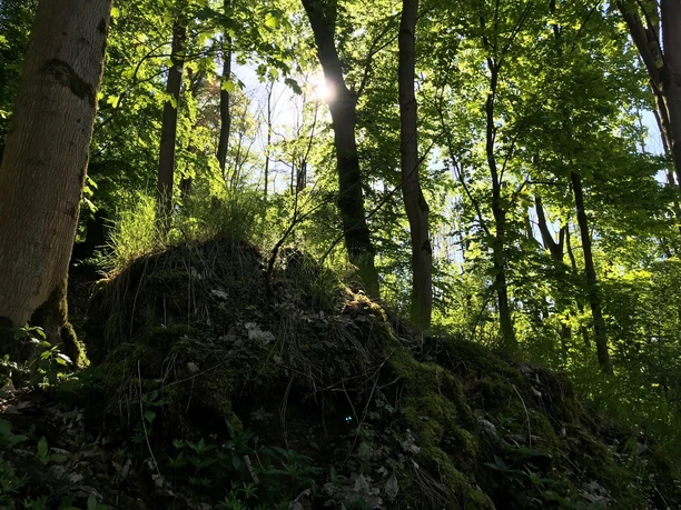 Auf dem Westberg Hofgeismar