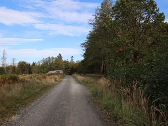 Vorbei an der Verjüngungsfläche