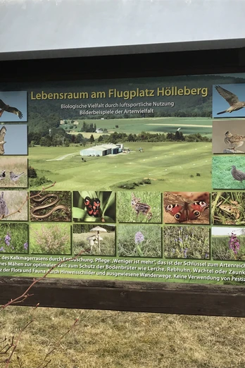 Infotafel Flugplatz Langenthal