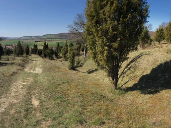 Durch Wacholderheiden