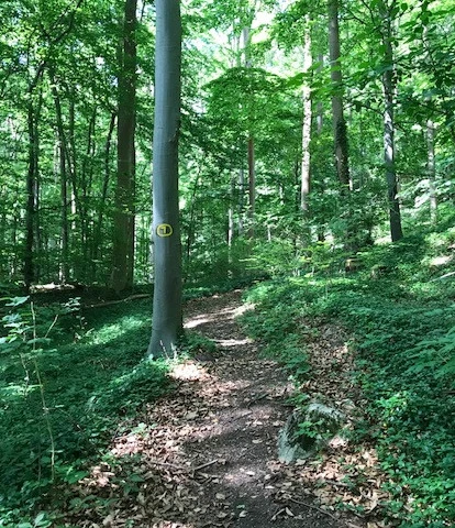 Rundweg Schöneberg 1