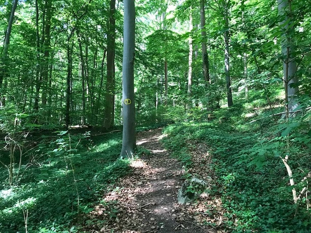 Rundweg Schöneberg 1