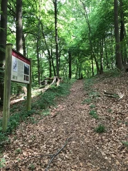 Ecopfad Bergbau Holzhausen