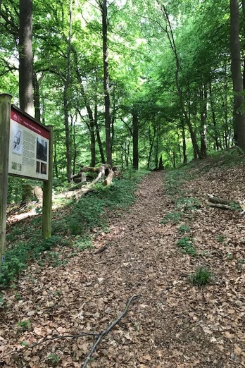 Ecopfad Bergbau Holzhausen