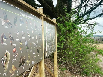 Nistkasten Waldvogel Lehrpfad Immenhausen