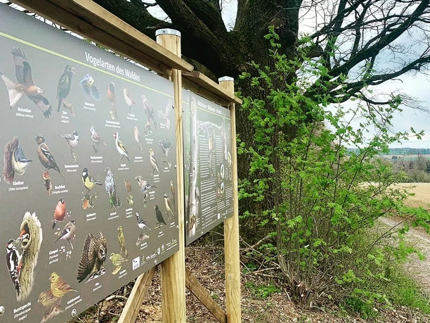 Nistkasten Waldvogel Lehrpfad Immenhausen
