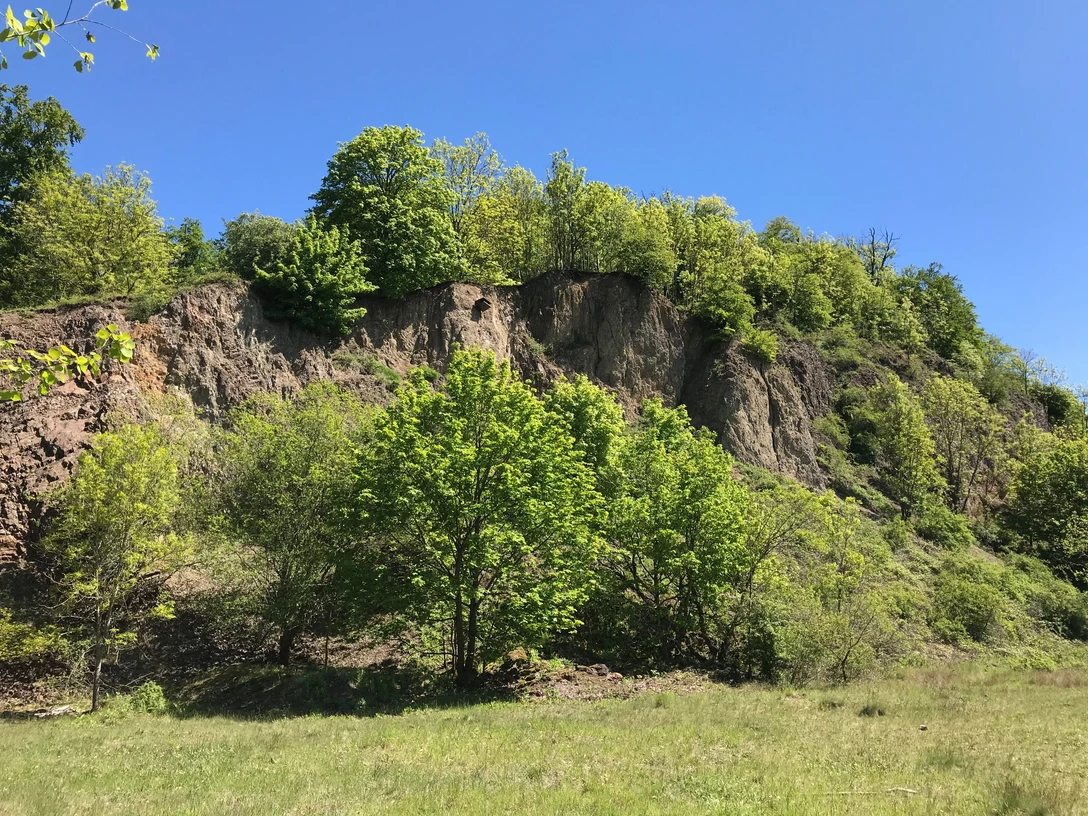 Naturdenkmal Rosenberg