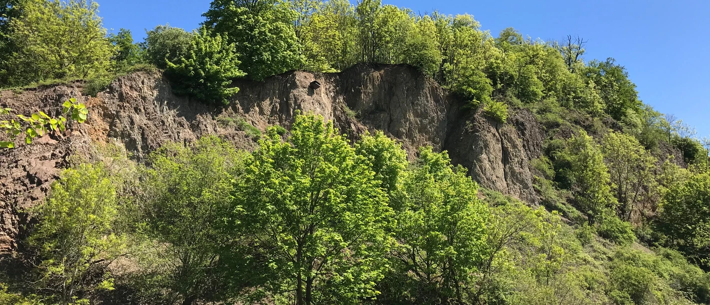 Naturdenkmal Rosenberg