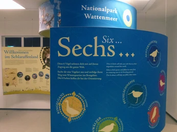 190_nationalpark_haus_wangerooge_inga_blanke (1).jpg