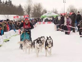 Schlittenhunde Adventure Schlittenhunde Adventure