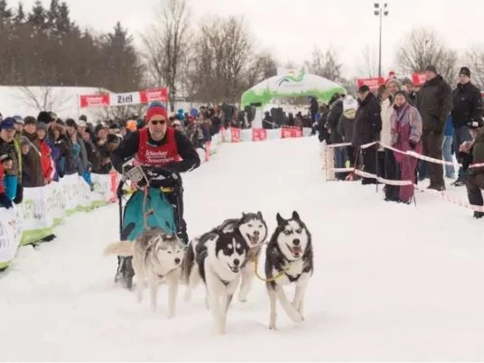 Schlittenhunde Adventure Schlittenhunde Adventure