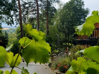 Blick von der Terasse ins Erzgebirge