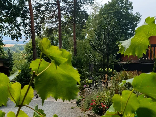 Blick von der Terasse ins Erzgebirge