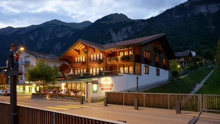 hotel-steinbock-brienz-aussenansicht-terrasse-gaeste.jpg