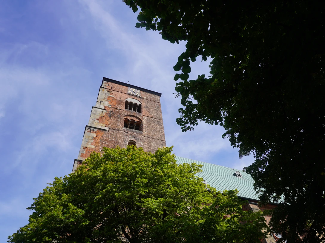 Dom Verden Gotisches Bauwerk mit imposantem Turm, umgeben von grünen Bäumen, unter strahlend blauem Himmel.