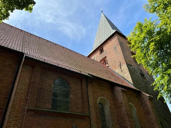 Backsteinkirche mit hohem Turm, schrägem Dach und gotischen Fenstern, umgeben von grünem Laub.