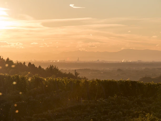 Münsterblick_Vogesen_Sonnenuntergang
