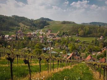 _MG_2931_Premiumweg_web