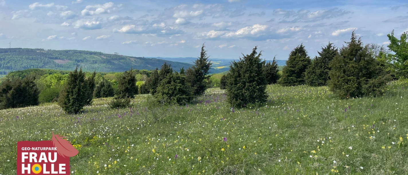 Blühendes Bühlchen