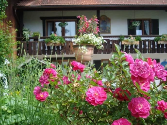 10574336_631129077006864_749317863733259008_n