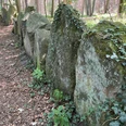 Sachsenhain Verden Ein Waldweg führt entlang einer historischen Steinsetzung aus moosbewachsenen Findlingen im Sachsenhain.