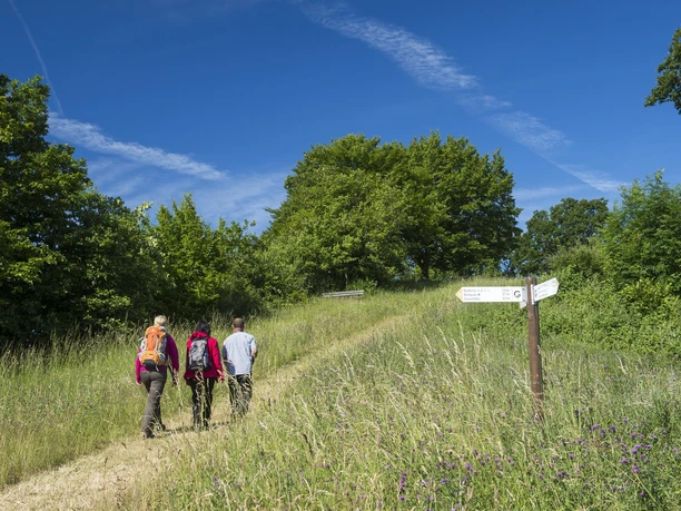 am Wanderweg