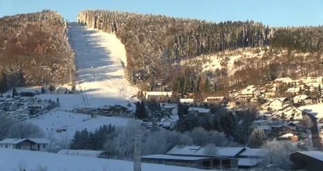 Livecam-1-Winter.jpg