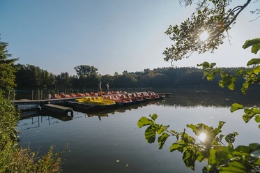 Wandern rund um den Noswendeler See