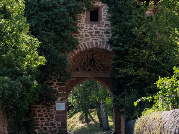 Rauschenberg_Rathaus Schlossberg und zurück-2589.jpg