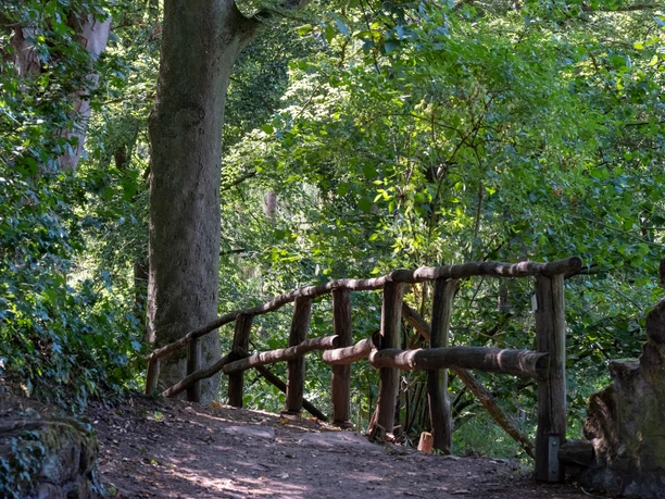 Rauschenberg_Romantischer Weg.jpg