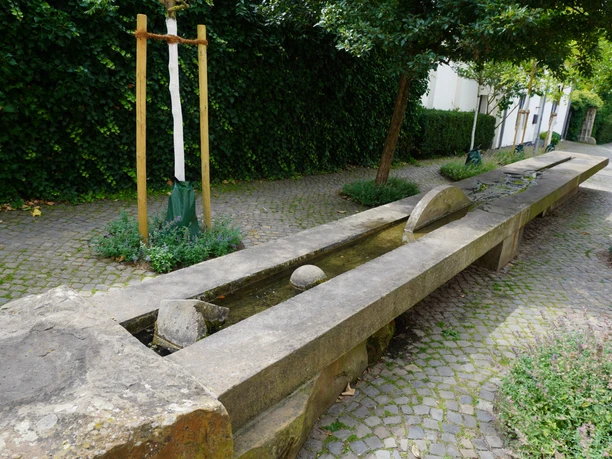 Langer, steinerner Brunnen mit flachem Wasserbett verläuft durch eine gepflasterte Gartenlandschaft.